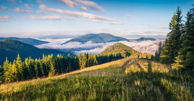 Parlak yaz sabahı Karpat Dağları'nda. Haziran, Ukrayna, Tatariv Köyü konumu, Europe dağ vadisinde pitoresk açık sahnede. Tarzı yazı işlenmiş fotoğraf.