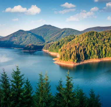 Dragan Gölü 'nün muhteşem yaz sahnesi. Sakin Apuseni Doğal Parkı 'nın sakin sabah manzarası. Romanya, Avrupa 'nın muhteşem açık hava manzarası. Doğa konseptinin güzelliği
