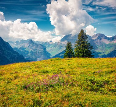 Oeschinen Gölü 'ndeki HMountain Vadisi' nin parlak yaz manzarası. İsviçre Alplerinde, Kandersteg köyünde, Bern kantonunda, İsviçre 'de, Avrupa' da renkli bir sabah manzarası. Doğa konseptinin güzelliği.