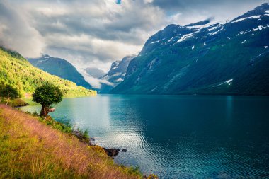 Norveç 'in Sogn og Fjordane ilçesi Stryn belediyesi Lovatnet Gölü' nün dramatik yaz manzarası. Norveç 'te renkli bir sabah sahnesi. Doğa konseptinin güzelliği
