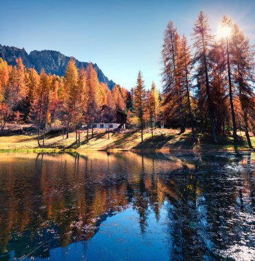 Sarı tarla ağaçlarıyla Scin Gölü 'nün muhteşem renkleri. Dolomite Alpleri, Cortina d 'Ampezzo, İtalya, Avrupa' da renkli güneşli bir manzara. İşlenmiş fotoğraf sonrası sanatsal stil.