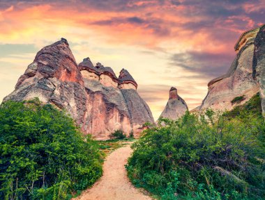 Asya 'nın Orta Anadolu Bölgesi' nde Nevsehir ilinin Kapadokya ilçesi Cavusin köyü yakınlarındaki kanyonda fantastik mantar türleri. Doğa konseptinin güzelliği.