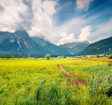 Zugspitze golf kulübündeki yeşil çayır, Lermooos köyü. Avusturya Alpleri, Reutte Bölgesi, Tyrol Eyaleti, Avusturya, Avrupa 'da renkli bir yaz sabahı. Instagram filtre tonu.