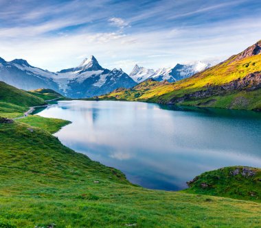 Arka planda Schreckhorn zirvesi olan Bachalpsee Gölü 'nün dramatik yaz manzarası. İsviçre Bernese Alpleri, İsviçre, Avrupa 'da renkli bir sabah sahnesi. Doğa konseptinin güzelliği