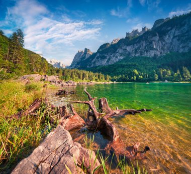 Güneşli bir yaz sabahı Gosau Gölü 'nde (Vorderer Gosausee) Hoher Dachstein ve Gosau Buzulu manzaralı. Yukarı Avusturya Alpleri, Salzkammergut Bölgesi, Avusturya ve Avrupa 'da renkli açık hava sahneleri. 