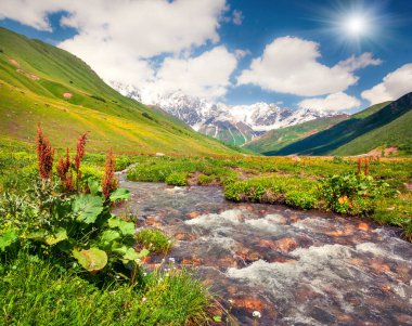 Kafkasya dağlarındaki saf su nehrinin renkli yaz manzarası. Shkhara Dağı, Ushguli Köyü, Yukarı Svaneti, Gürcistan, Avrupa 'da güneşli bir sabah manzarası.