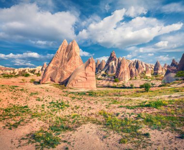 Cappadocia 'nın muhteşem bahar sahnesi. Nisan ayındaki Kırmızı Gül Vadisi manzarası. Nevsehir ilçesinin bulunduğu Cavusin köyü, Türkiye, Asya. Seyahat konsepti arka planı.