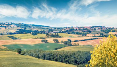 Toskana 'da buğday hasadı. Tipik Toskana kırsal manzarası. Italiy, Avrupa 'nın parlak yaz sahnesi. Güzellik Gezisi konsepti geçmişi. Instagram filtresi ayarlandı. Orton Efekti