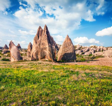 Cappadocia 'nın büyüleyici yaz manzarası. Kırmızı Gül Vadisi 'nin nefes kesici sabah manzarası. Nevsehir ilçesinin bulunduğu Cavusin köyü, Türkiye, Asya. Seyahat konsepti arka planı.