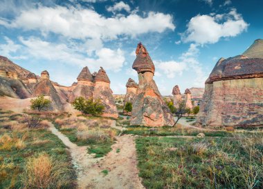 Türkiye 'nin Orta Anadolu Bölgesi' nde Nevsehir ilinin Kapadokya ilçesi Cavusin köyü yakınlarındaki kanyonda alışılmadık kum taşı formları. Doğa konseptinin güzelliği.