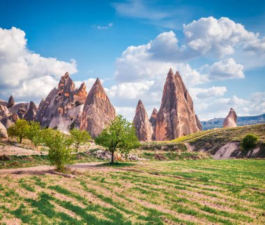 Cappadocia 'nın muhteşem yaz sahnesi. Kırmızı Gül Vadisi 'nin harika sabah manzarası. Nevsehir ilçesinin bulunduğu Cavusin köyü, Türkiye, Asya. Seyahat konsepti arka planı.