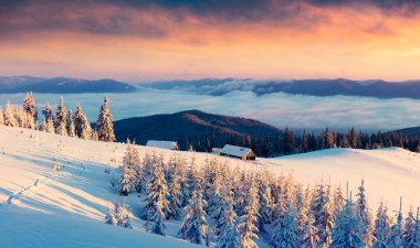 Karpatlar 'daki ilk güneş ışığı parlayan dağ tepeleri ve vadileri. Dağ çiftliğinde, köknar ağaçlarıyla kaplı dramatik kış gündoğumu. Mutlu Yıllar Kutlama Konsepti. 