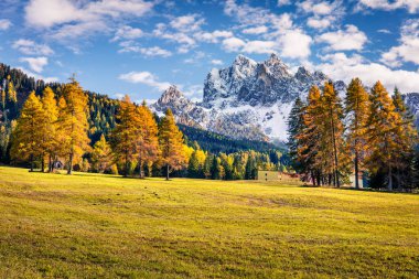 Vallone köyünden Durrenstein Dağı 'nın güneşli manzarası. Bolzano ili Dolomite Alpleri 'nde renkli bir sonbahar sahnesi. Güney Tyrol, Itale, Avrupa. İşlenmiş fotoğraf sonrası sanatsal stil.