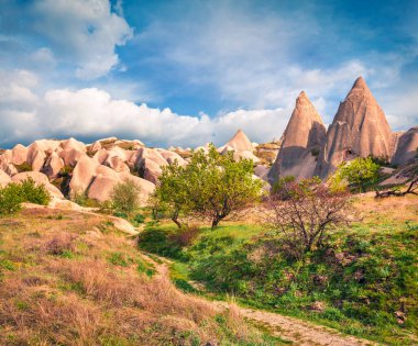 Cappadocia 'nın parlak bahar sahnesi. Nisan ayındaki Kırmızı Gül Vadisi manzarası. Nevsehir ilçesinin bulunduğu Cavusin köyü, Türkiye, Asya. Seyahat konsepti arka planı.