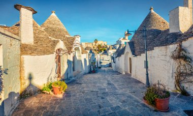 Trullo (trulli) ile renkli sabah görüşü - konik çatılı geleneksel Apulian kuru taş kulübe. Alberobello şehrinin güzel bahar manzarası, Bari ili, Apulia bölgesi, İtalya, Avrupa.