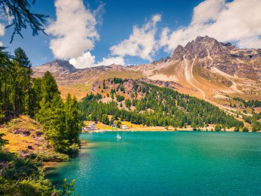 İsviçre Alplerinde yaz güneşli manzarası. Derin mavi gökyüzünün altında Sils Gölü 'nde renkli bir açık hava sahnesi, Maloja geçidi, Yukarı Engadine, Grisonlar kantonu, İsviçre, Avrupa. İşlenmiş fotoğraf sonrası sanatsal stil.