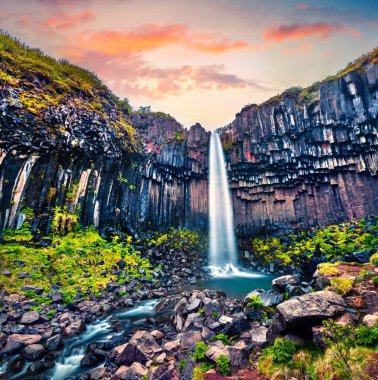 Ünlü Svartifoss (siyah sonbahar) şelale görünümünü dramatik sabah. Skaftafell, Vatnajokull Milli Parkı, İzlanda, Avrupa'nın renkli yaz gündoğumu. Tarzı yazı işlenmiş fotoğraf.