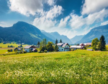Gosau köyünün renkli yaz manzarası. Avusturya Alpleri 'nde çiçek açan çayır. Avusturya, Avrupa 'nın harika sabah manzarası. Kırsal konseptin güzelliği. Orton Efekti