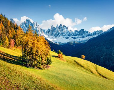 Geisler ya da Odle Dolomites Grubu 'nun önündeki Santa Maddalena köyünün harika manzarası. Dolomite Alpleri 'nin renkli sonbahar sahnesi, İtalya, Avrupa. Doğa konseptinin güzelliği.