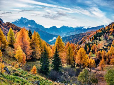 Ekim ayının sonunda Giau Geçidi 'nin tepesinden puslu bir sabah manzarası. Dolomite Alpleri, Cortina d 'Ampezzo, İtalya ve Avrupa' nın etkileyici sonbahar sahnesi. Doğa konseptinin güzelliği