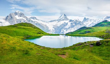 Arka planda Schreckhorn zirvesi olan Bachalpsee Gölü 'nün muhteşem yaz manzarası. İsviçre Bernese Alpleri, İsviçre, Avrupa 'nın renkli sabah manzarası. Doğa konseptinin güzelliği.