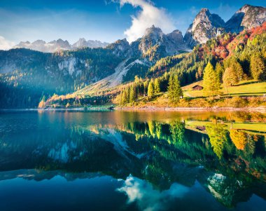 Vorderer (Gosausee) gölünün muhteşem sonbahar sahnesi. Avusturya Alpleri, Yukarı Avusturya, Avrupa 'nın resimli sabah manzarası. Doğa konseptinin güzelliği.