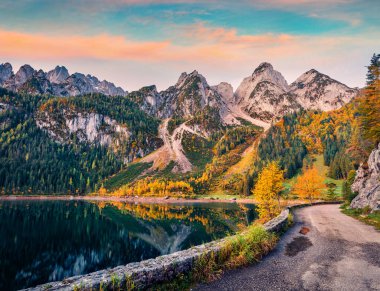 Gosausee 'nin (Vorderer) asfalt yolu ile muhteşem sonbahar manzarası. Avusturya Alpleri, Yukarı Avusturya, Avrupa 'nın muhteşem sabah manzarası. Doğa konseptinin güzelliği.