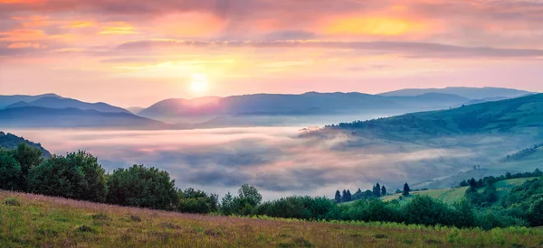 Espectacular Amanecer Verano Las Montañas Los Cárpatos Niebla Mañana Panorama — Foto de Stock
