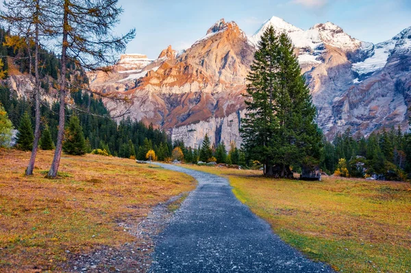 Turisztikai Treck Oeschinensee Tóhoz Színes Reggeli Jelenet Svájci Alpokban Bluemlisalp — Stock Fotó