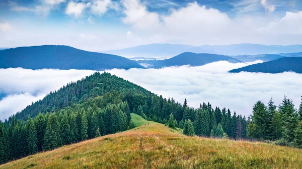 Mistige Zomer Scene Van Karpaten Bergen Fantastische Ochtend Landschap Van — Stockfoto
