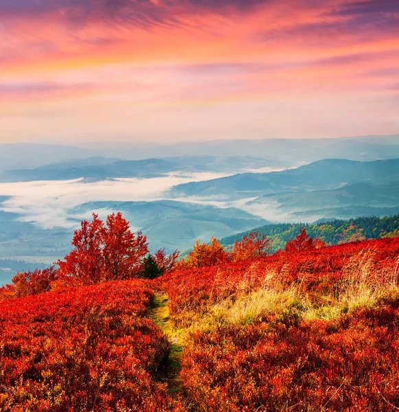 Cores Fantásticas Paisagem Outono Nos Cárpatos Esplêndido Nascer Sol Nas — Fotografia de Stock