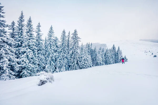 Fotógrafo Tira Fotos Montanhas Inverno Fantástica Vista Manhã Colinas Montanha — Fotografia de Stock