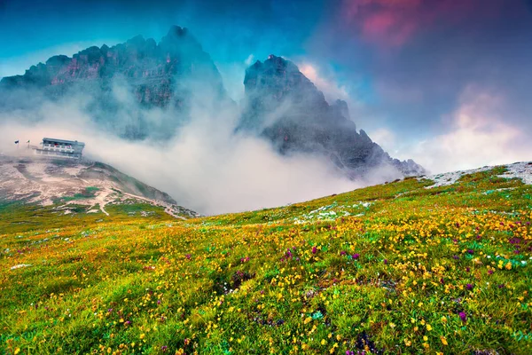 国立公園のカラフルな夏のシーンTre Cime Lavaredo Rifugio Auronzo 花の分野でドロマイトアルプスの夕日 南チロル 場所オーロンゾ イタリア ヨーロッパ — ストック写真