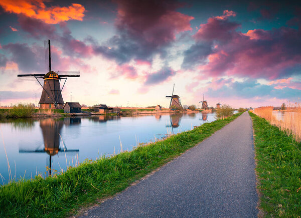 Colorful spring scene in the famous Kinderdijk canals with windmills, UNESCO world heritage site. Sunrise in Dutch village Kinderdijk, walking path in the park, Netherlands, Europe.