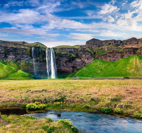 Γραφική Πρωινή Θέα Του Seljalandfoss Καταρράκτη Στον Ποταμό Seljalandsa Πολύχρωμη — Φωτογραφία Αρχείου