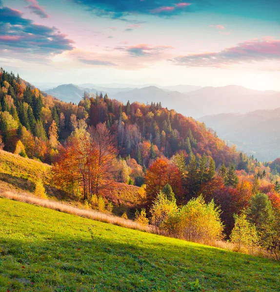 Barevná Podzimní Krajina Karpat Horách Nádherná Venkovní Scéna Blízkosti Obce — Stock fotografie