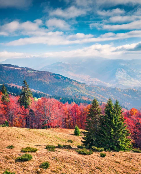 秋天阳光灿烂的山谷景色 欧洲乌克兰Kvasy村 喀尔巴阡山脉多姿多彩的早晨景象 自然美概念背景 — 图库照片