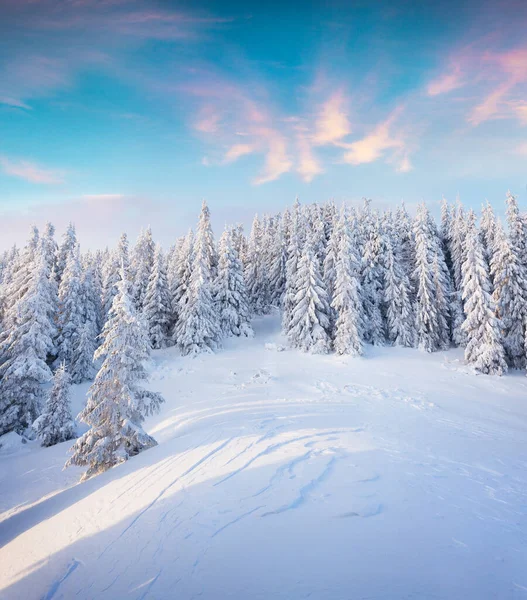 カルパチア山脈の美しい冬の日の出 カラフルな屋外シーン ハッピー新年のお祝いのコンセプト 芸術風のポスト処理写真 — ストック写真