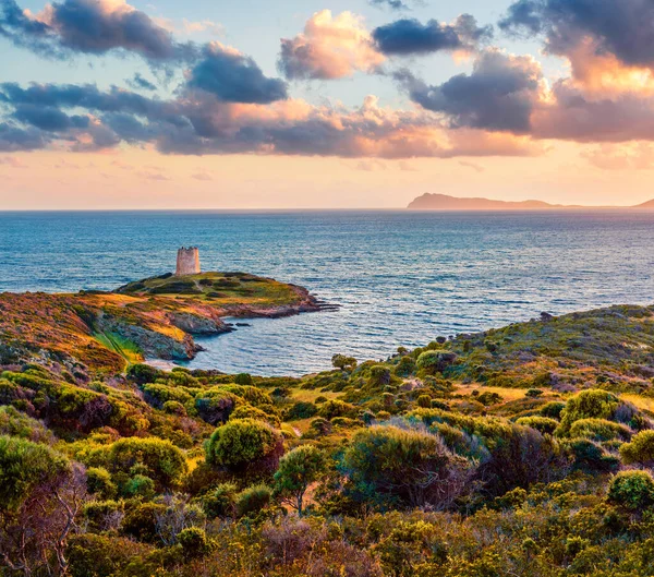 Impresionante Vista Atardecer Bahía Piscinni Con Torre Pixinni Fondo Fantástica — Foto de Stock