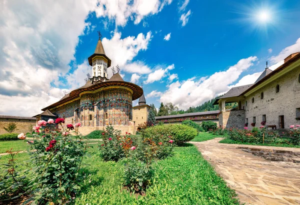 Brillante Escena Verano Del Monasterio Sucevita Pintoresca Vista Matutina Iglesia —  Fotos de Stock