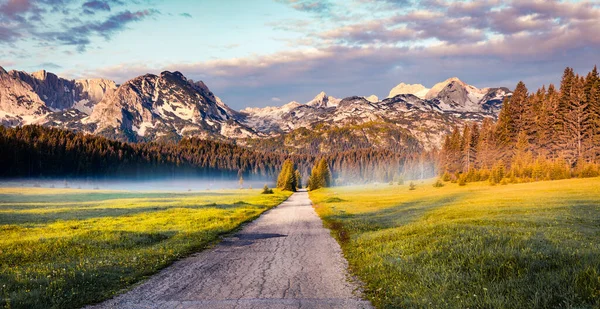 Úžasný Letní Východ Slunce Parku Durmitor Nacionalni Vzrušující Mlhavý Výhled — Stock fotografie