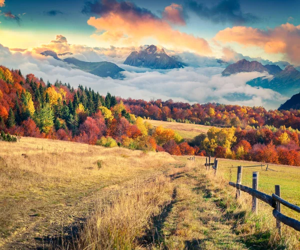 Kolorowa Scena Jesienna Górach Zapierający Dech Piersiach Wschód Słońca Wsi — Zdjęcie stockowe