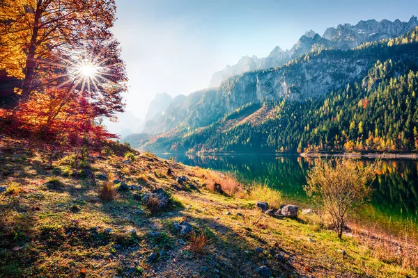 Märchenhafte Herbstszene Vorderer Gosausee Faszinierender Morgenblick Auf Die Österreichischen Alpen — Stockfoto