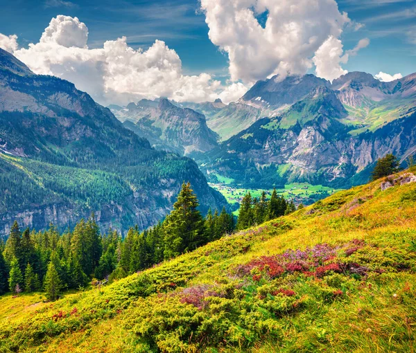 Sunny Summer View Kandersteg Village Oeschinen Lake Colorful Morning Scene — Stock Photo, Image