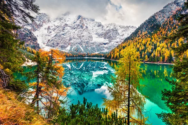 Erster Schnee Pragser See Farbenfrohe Herbstlandschaft Den Italienischen Alpen Naturpark — Stockfoto