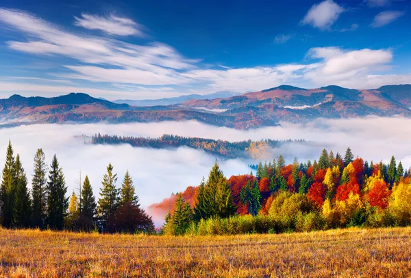 Foggy Autumn Landscape Carpathian Mountains Sunny Morning Sokilsky Ridge Ukraine — Stock Photo, Image