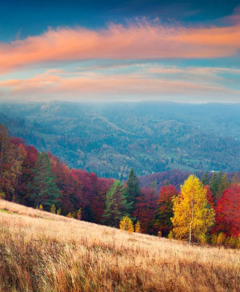 Красочный Осенний Пейзаж Карпатах Великолепная Открытая Сцена Возле Села Розтоки — стоковое фото