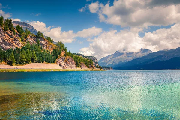 Чудесный Летний Вид Озеро Силс Живописная Сцена Открытом Воздухе Швейцарских — стоковое фото