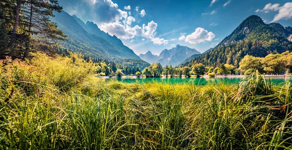 Wspaniały Letni Widok Alpy Julijskie Gozd Martuljek Lokalizacji Słowenia Europa — Zdjęcie stockowe