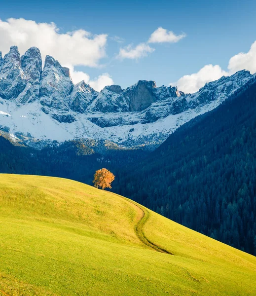 GeislerまたはOdle Dolomites Groupの前にあるSanta Magradena村の丘の素晴らしい景色 ドロマイトアルプス イタリア ヨーロッパのカラフルな秋のシーン 田舎のコンセプトの背景の美しさ — ストック写真